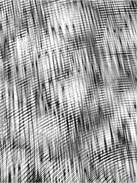 Extraposition, 2024