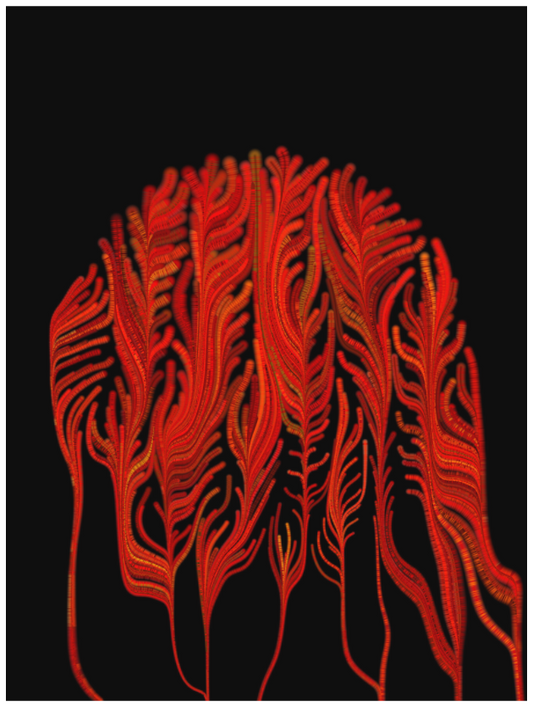 Main image Tuboid #18