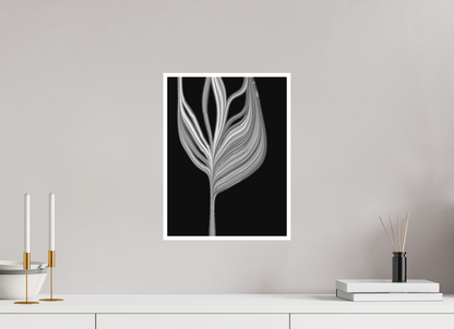 30 x 40 cm, Print on Hahnemühle Photo Rag Bright White Tuboid #9