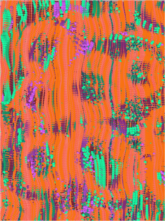 Where have all the flowers gone? , 2024