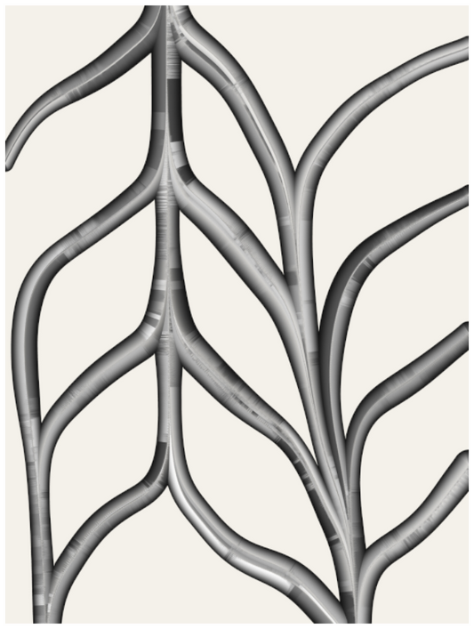 Main image Tuboid #5