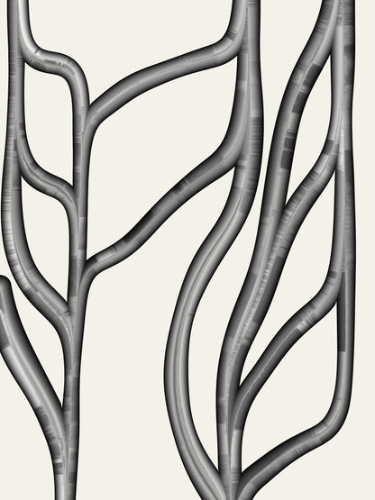 Tuboid #2