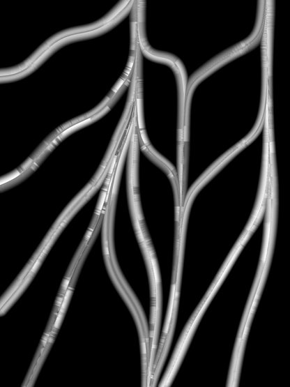 Tuboid #4