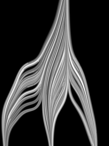 Tuboid #8