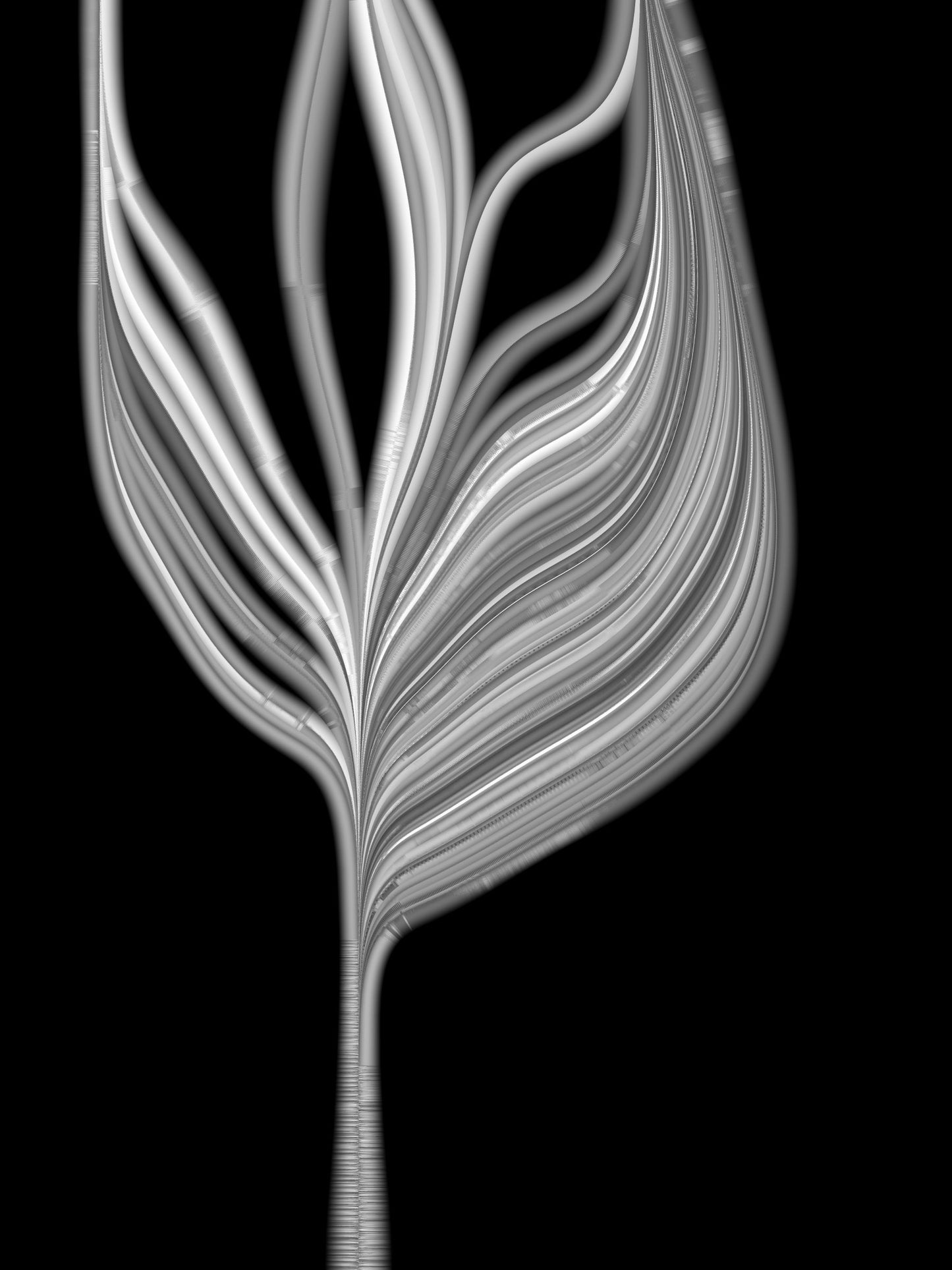 Tuboid #9